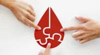 Donar sangre: El proceso biológico que oxigena y renueva tu salud