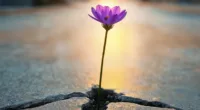 Cómo se reconstruye la confianza en un país que aprendió a desconfiar